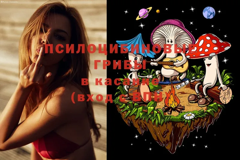 Псилоцибиновые грибы Magic Shrooms  дарнет шоп  Бежецк 